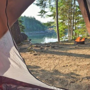 Meet your Posher, Ella